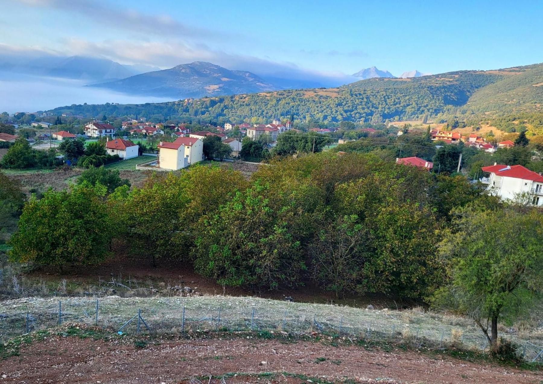 Villa Τα Πέτρινα Στο Σκεπαστό Kalavryta Exterior foto